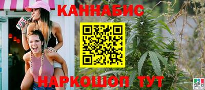 кокс Кингисепп