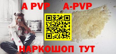 кокс Кингисепп