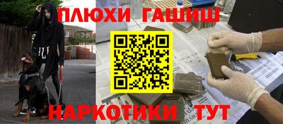 кокс Кингисепп