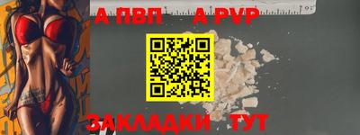 кокс Кингисепп
