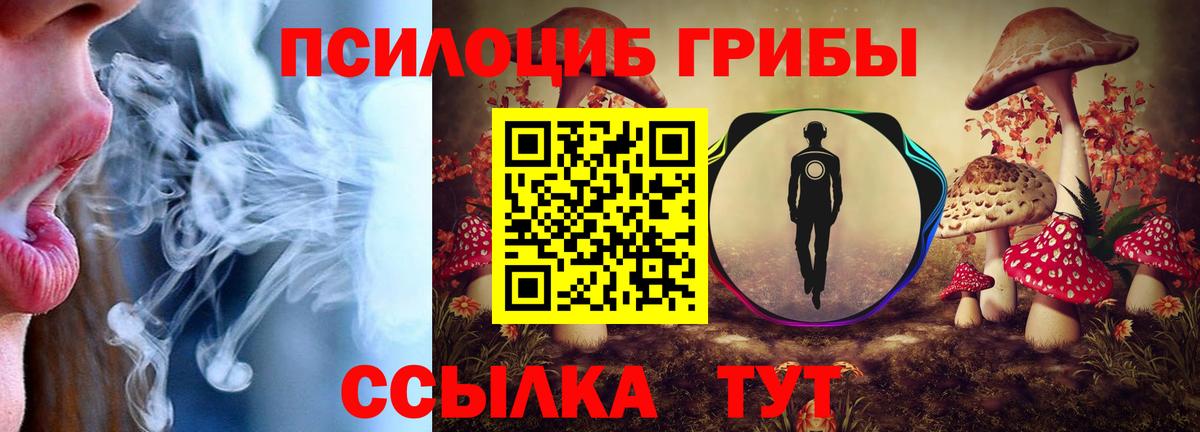 Галлюциногенные грибы Psilocybine cubensis Котельники